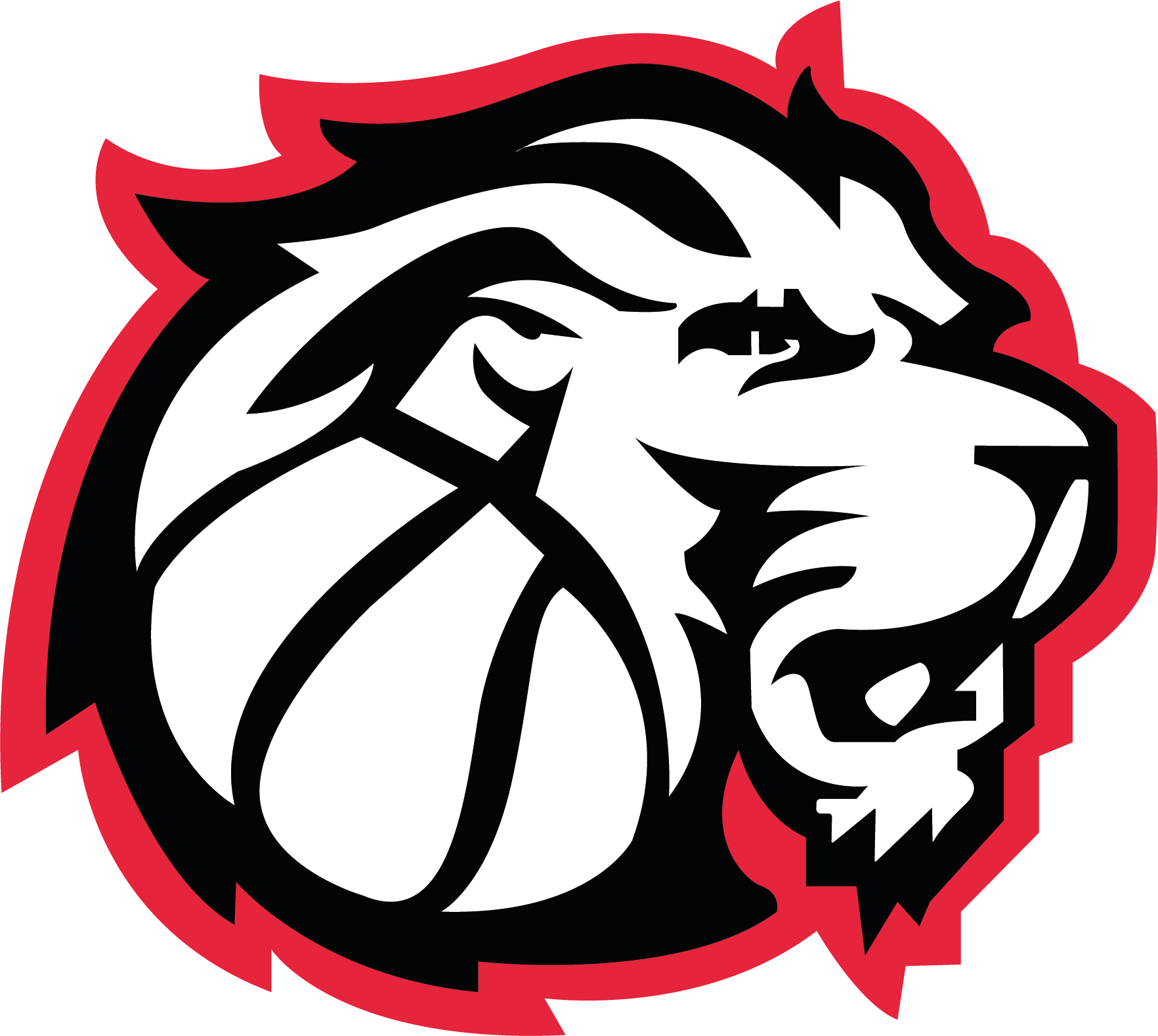Logo de l'association LeoBasket